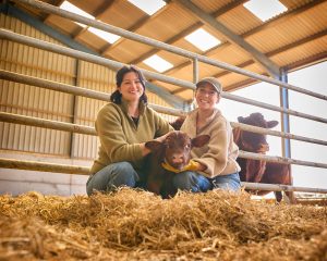 17. Calf housing research reveals positive health and business outcomes