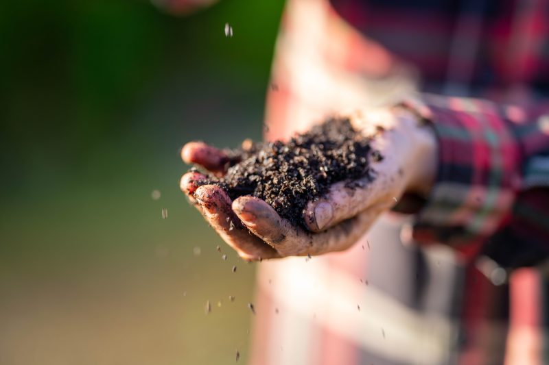 33. Impacts of Micro/Nanoplastics on Crop Physiology and Soil Ecosystems: A Review