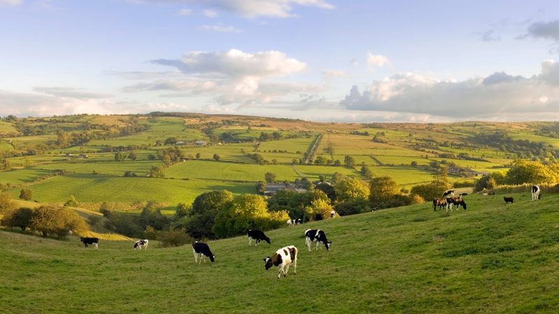 10. Regenerative Agriculture in the UK – An ecological perspective