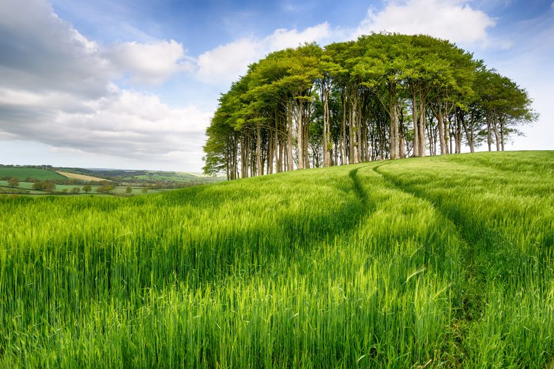 Uncertainty damaging farm lets, warns CAAV