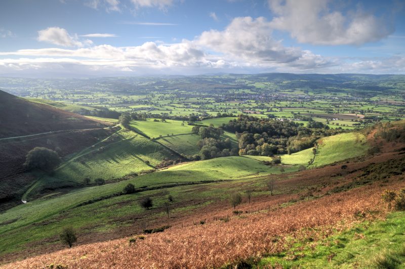 Agricultural Property Relief is Changing and Rural Estates Can’t Afford to Stand Still