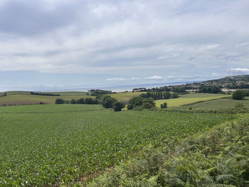 Rights of nature: Ethical frameworks