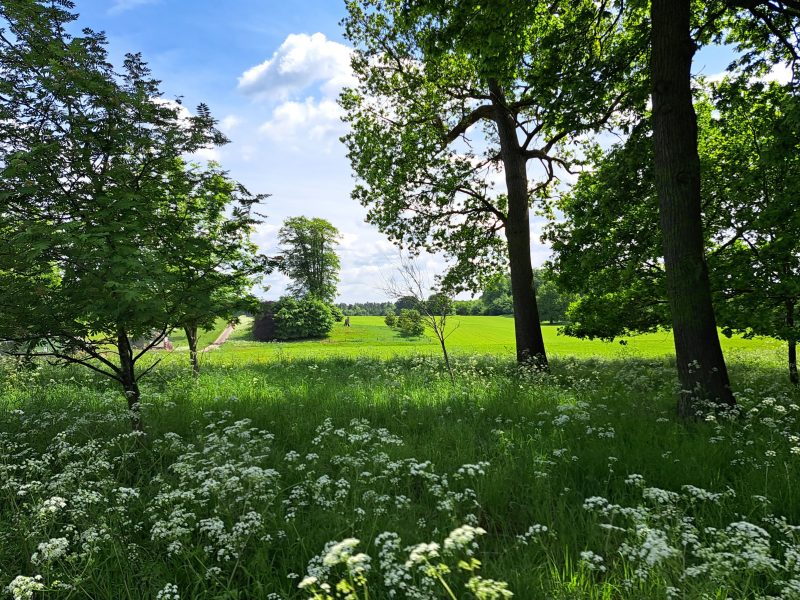 106. ‘Food for Thought’ report reiterates the need for the prioritisation of UK food security