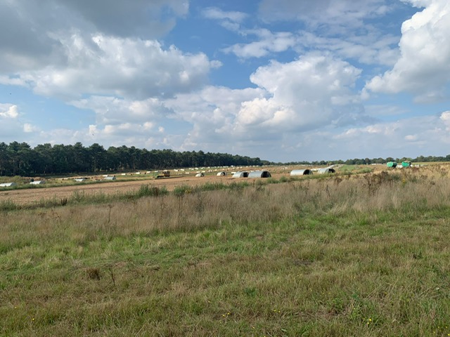 74. Reviewing the evidence on precision agriculture and environmental sustainability