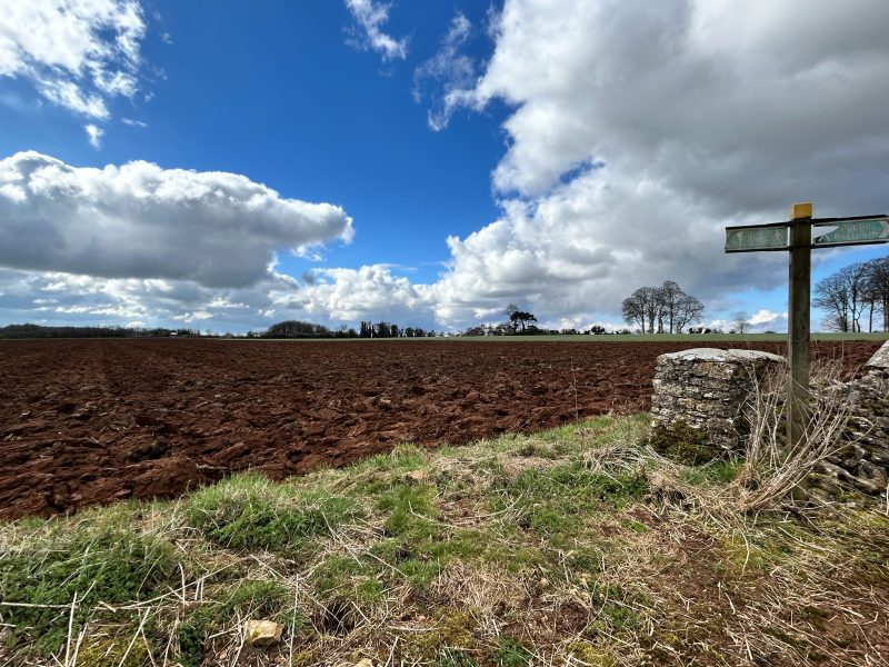 Farmland Market Update Q2 2026: England Land Prices, Demand & Market Outlook