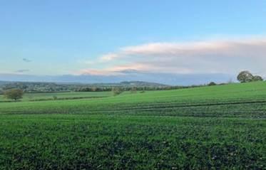 110. DEFRA: New plans to reshape how we protect and manage our land for future generations