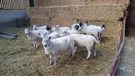 95. FETF 2026: apply now for equipment and technology grants