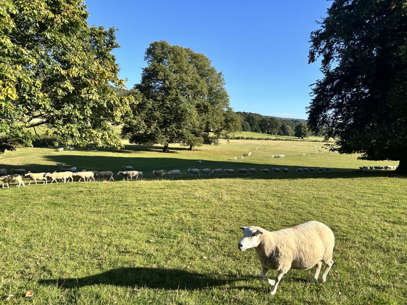 119. Nature market benefits: lessons from the Evenlode project