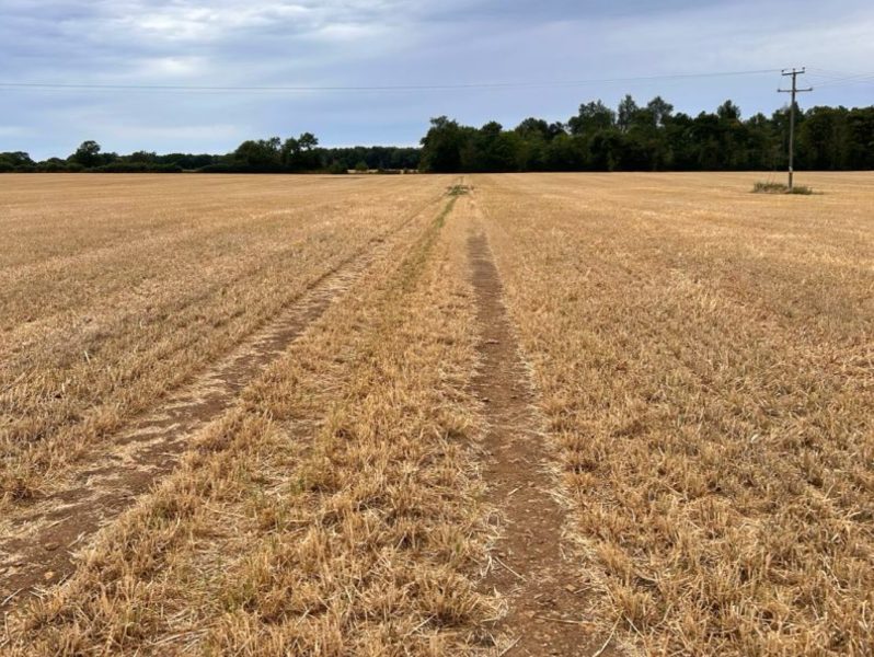 63. Farm-scale Natural Capital Accounting: Unlocking the potential of natural capital to support sustainable agriculture