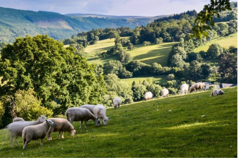 122. Law Commission publishes agricultural law scoping report for Wales