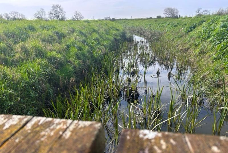 54. Water pollution, aspects of the law