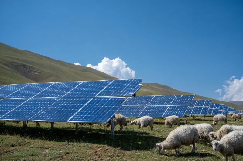 Fossil Free Farming Can we remove fossil fuels in all of their forms from global agriculture while still feeding a growing population and protecting nature?
