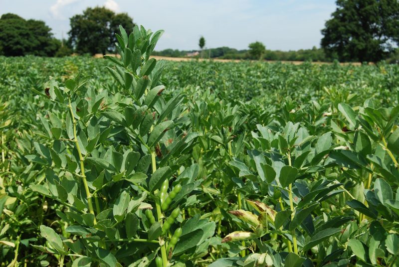 Farmer-led research is missing link between science and on-farm change