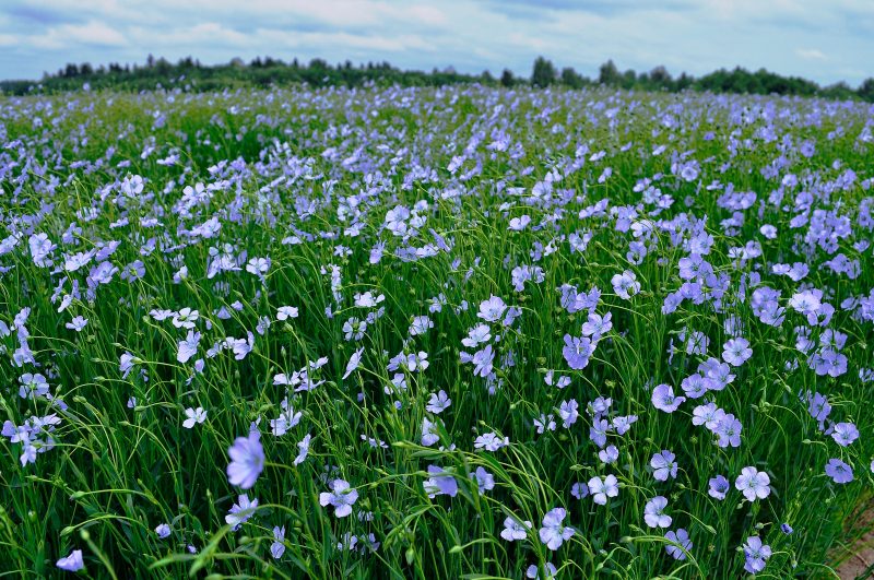 Farm context and changing farm practice