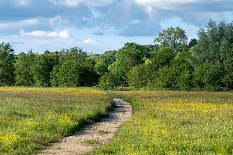 What does a ‘Natural Health Service’ mean for rural areas?