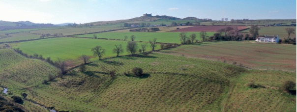 Kennetsideshead Farm: planting riparian woodland in the heart of a working farm