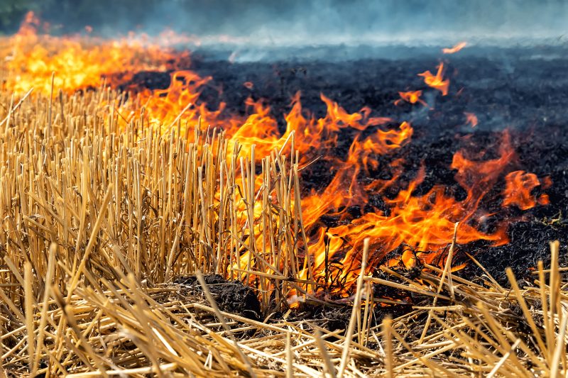 When Harvest Goes Up in Smoke: Are We Prepared for the Growing Risk of Farm Fires?
