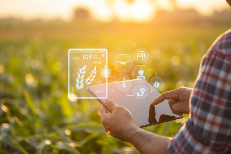 Why does the agriculture sector struggle with R&D tax reliefs?