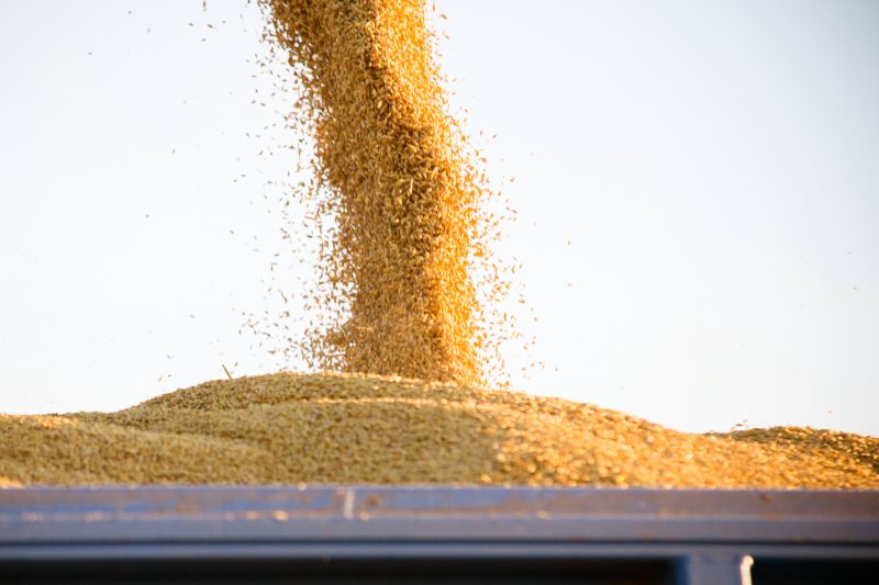 Is Environmental Social Governance relevant for cereal farming?