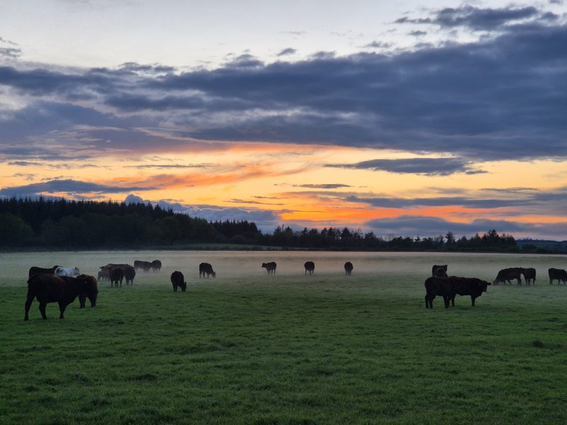 Are Your Farm’s Professional Fees Delivering Real Value?