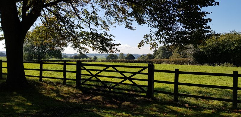 UK subsidies for land-based seafood farming would boost tree-planting policy